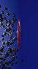 Hyro_Blueberry_Vertical
